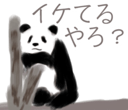 Such as the PANDA sticker #4116155