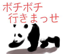 Such as the PANDA sticker #4116158