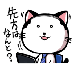 Cat Boss sticker #4117371