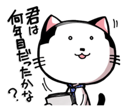 Cat Boss sticker #4117372