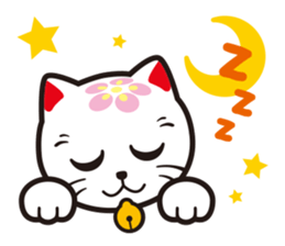 MIYAWAKAOIDASHINEKO & Free Magazine Hen sticker #4117663