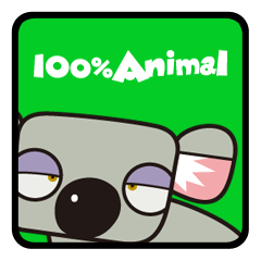 100%ANIMAL