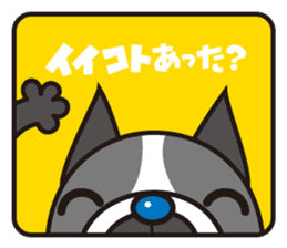 100%ANIMAL sticker #4118792