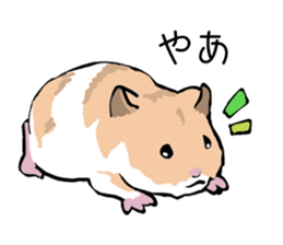 The hamster!! sticker #4119208