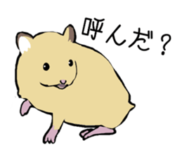The hamster!! sticker #4119209