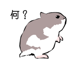 The hamster!! sticker #4119211