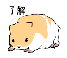 The hamster!! sticker #4119213