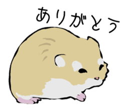 The hamster!! sticker #4119216