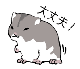 The hamster!! sticker #4119219