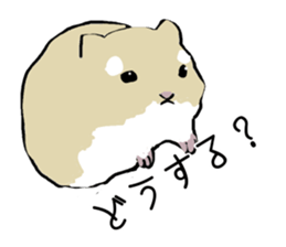 The hamster!! sticker #4119220