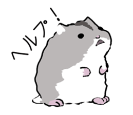 The hamster!! sticker #4119221