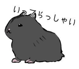 The hamster!! sticker #4119225