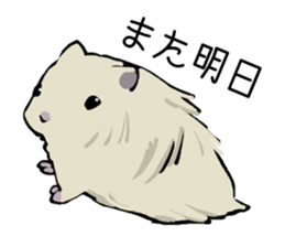 The hamster!! sticker #4119226