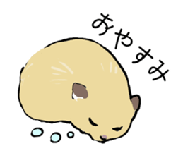 The hamster!! sticker #4119228