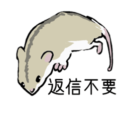 The hamster!! sticker #4119229