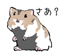The hamster!! sticker #4119233