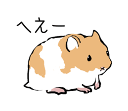 The hamster!! sticker #4119237