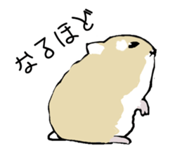 The hamster!! sticker #4119239