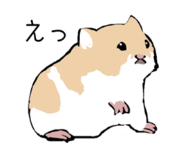The hamster!! sticker #4119241