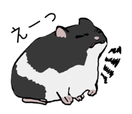 The hamster!! sticker #4119242