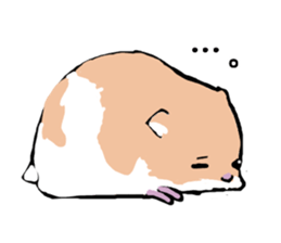 The hamster!! sticker #4119244