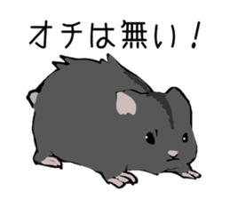 The hamster!! sticker #4119247