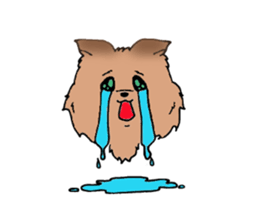 Yorkshire terrier of my home sticker #4119888