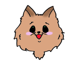 Yorkshire terrier of my home sticker #4119889
