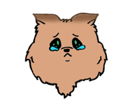 Yorkshire terrier of my home sticker #4119890