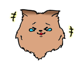 Yorkshire terrier of my home sticker #4119891