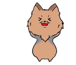 Yorkshire terrier of my home sticker #4119901