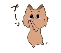 Yorkshire terrier of my home sticker #4119904