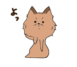 Yorkshire terrier of my home sticker #4119907