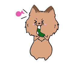 Yorkshire terrier of my home sticker #4119908