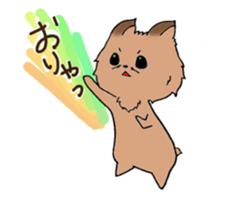 Yorkshire terrier of my home sticker #4119913