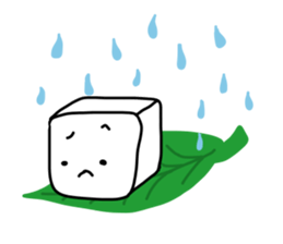 OK tofu SORRY tofu sticker #4120447
