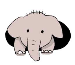 Various elephants sticker #4121008
