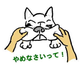 Daily life of the certain  dog sticker #4123828