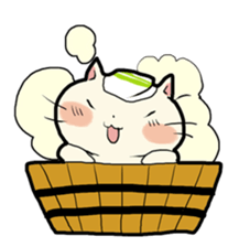 lovely chubby cat sticker #4124375