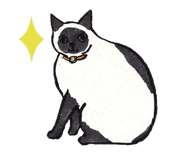 MY CATS YUZU&MOMO sticker #4128929