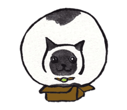 MY CATS YUZU&MOMO sticker #4128934