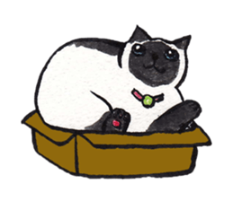 MY CATS YUZU&MOMO sticker #4128935