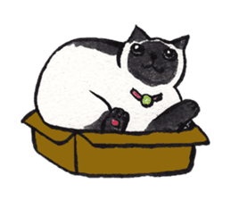 MY CATS YUZU&MOMO sticker #4128935