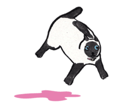 MY CATS YUZU&MOMO sticker #4128949