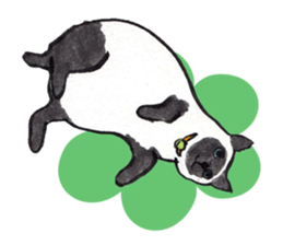 MY CATS YUZU&MOMO sticker #4128954