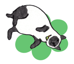 MY CATS YUZU&MOMO sticker #4128954