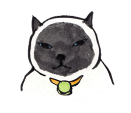 MY CATS YUZU&MOMO sticker #4128958