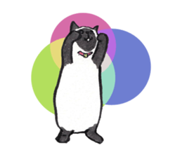 MY CATS YUZU&MOMO sticker #4128967