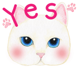 Tomboy Cat (English) sticker #4128990