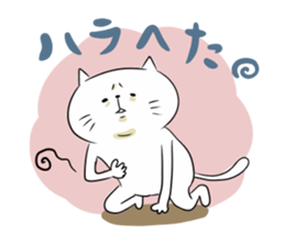 Looser cat 6 sticker #4129416